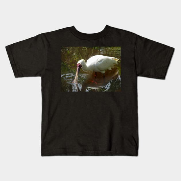 African Spoonbill wading in the shallows Kids T-Shirt by Steves-Pics